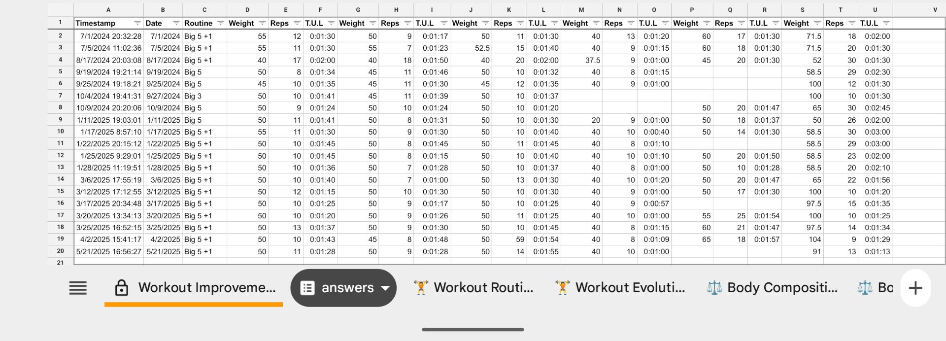 Big 5 workout log spreadsheet showing 17 months of tracked sessions